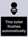 this-toilet-flushes-automatically~